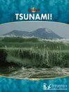 Tsunami! (eBook)